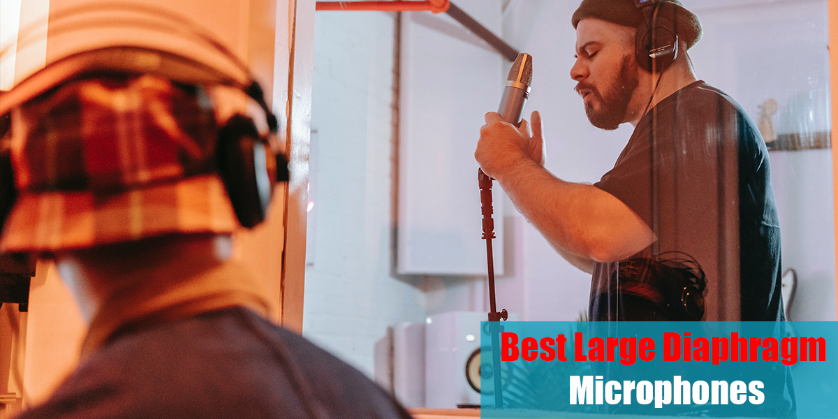 Best Large Diaphragm Microphones: Top 11 High-End Choices!